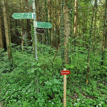 Apartman Alpenglueck Bad Feilnbach